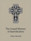 The Gospel Mystery of Sanctification - Walter Marshall