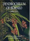 Dendrochilum of Borneo - Jeffrey J. Wood