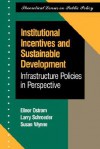 Institutional Incentives And Sustainable Development: Infrastructure Policies In Perspective - Elinor Ostrom, Susan Wynne, Larry Schroeder