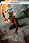 Stone of Tymora: Forgotten Realms - R.A. Salvatore, Geno Salvatore