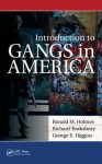 Introduction to Gangs in America - Ronald M. Holmes, Richard Tewksbury, George V. Higgins