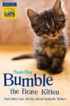 Bumble The Brave Kitten: In Association With Cats Protection - Samantha Hay