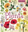 Plants - Terry J. Jennings