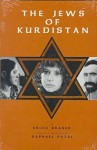 The Jews of Kurdistan - Erich Brauer, Raphael Patai