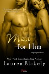 Melt for Him: a Fighting Fire novel - Lauren Blakely