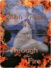 Through The Fire - Beth Trissel