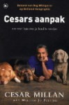 Cesars aanpak: om weer baas over je hond te worden - Cesar Millan, Cherie van Gelder