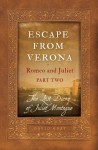 Escape From Verona - David Gray