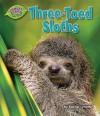 Three-Toed Sloths - Rachel Lynette