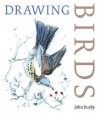 Drawing Birds - John Busby