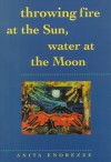 Throwing Fire At The Sun, Water At The Moon - Anita Endrezze