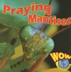 Praying Mantises - Heather C. Hudak