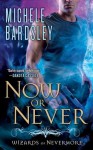 Now or Never - Michele Bardsley