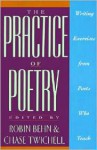 The Practice of Poetry: Writing Exercises From Poets Who Teach - Robin Behn, Chase Twichell