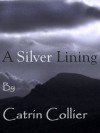A SILVER LINING (HEARTS OF GOLD) - Catrin Collier