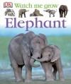 Elephant - Lisa Magloff