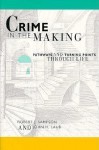 Crime in the Making: Pathways and Turning Points through Life - Robert J. Sampson, John H. Laub