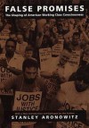 False Promises: The Shaping of American Working Class Consciousness - Stanley Aronowitz