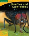 Pobblebonk Reading 4.4 Blowflies and Glow Worms (Pobblebonk Reading) - Dianne Bates