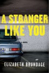 A Stranger Like You (MP3 Book) - Elizabeth Brundage, Ellen Archer, Robert Petkoff