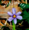 Wildflowers Around the Year - Hope Ryden