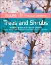 Trees and Shrubs: What to Grow and How to Grow It - Keith Rushforth