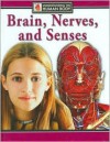 Brain, Nerves and Senses - Steve Parker, Kristina Routh