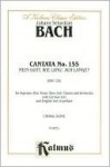 Cantata No. 155 -- Mein Gott, Wie Lang', Ach Lange: Satb with Satb Soli - Johann Sebastian Bach