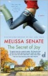 The Secret of Joy - Melissa Senate