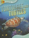 Animal Lives Tortoises and Turtles (Qeb Animal Lives) - Sally Morgan