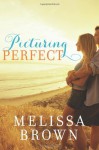 Picturing Perfect - Melissa Brown