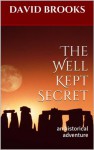 The Well Kept Secret - David Brooks