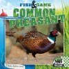 Common Pheasant - Sheila Griffin Llanas