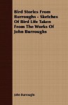 Bird Stories from Burroughs - Sketches of Bird Life Taken from the Works of John Burroughs - John Burroughs