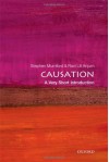 Causation: A Very Short Introduction (Very Short Introductions) - Stephen Mumford, Rani Lill Anjum