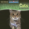 Cats Are Night Animals - Joanne Mattern