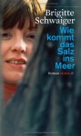 Wie Kommt Das Salz Ins Meer Roman - Brigitte Schwaiger