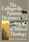 The Collegeville Pastoral Dictionary Of Biblical Theology - Carroll Stuhlmueller