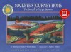 Oceanic Collection: Sockeye's Journey Home: The Sorry of a Pacific Salmon - Barbara Gaines Winkelman