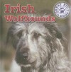 Irish Wolfhounds - Kristen Rajczak