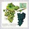 Posta Frutta - Postcard Book - Helen Buttfield