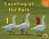 Counting at the Park - Rebecca Rissman