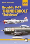 Republic P-47 Thunderbolt "Bubbletop" - Robert Pęczkowski, Artur Juszczak