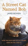 A Street Cat Named Bob: How One Man and His Cat Found Hope on the Streets - James Bowen, Kris Milnes