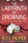 The Labyrinth of Drowning - Alex Palmer