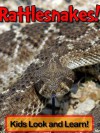 Rattlesnakes! Learn About Rattlesnakes and Enjoy Colorful Pictures - Look and Learn! (50+ Photos of Rattlesnakes) - Becky Wolff