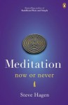 Meditation Now or Never - Steve Hagen