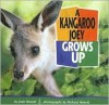 A Kangaroo Joey Grows Up - Joan Hewett, Richard Hewett