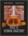 Atlas of Human Anatomy - Mark Nielsen, Shawn Miller