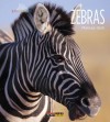 Zebras (Living Wild) - Melissa Gish